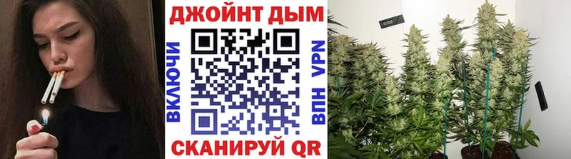 Шишки марихуана гибрид  Багратионовск 